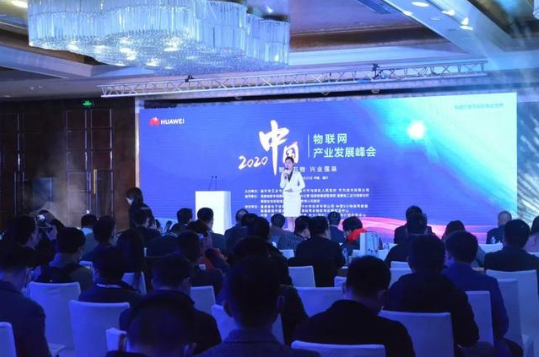 星云大数据亮相中国物联网产业发展峰会